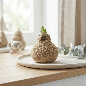 Sand-Coloured Natural Wax Hippo Decoration – 20cm