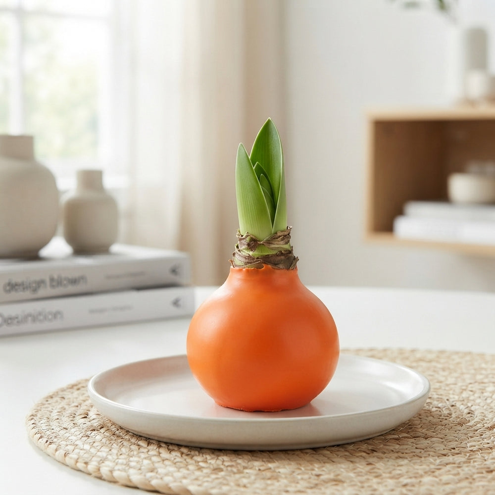 Orange Wax Flower Decoration – 20cm