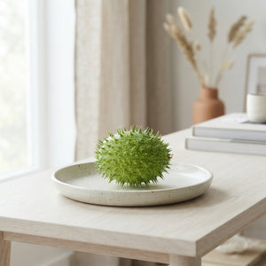 Ornamental Cucumis Mirio Fruits – Green