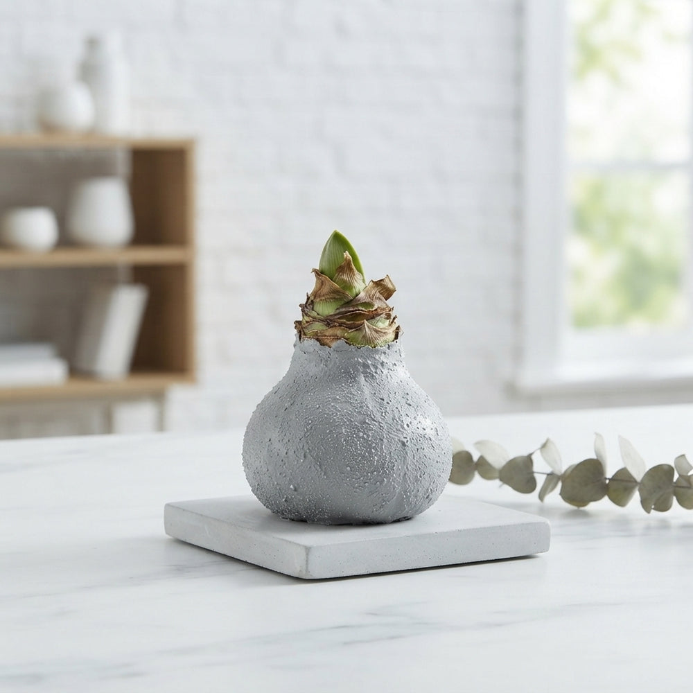 Grey Wax Hipp Gl Titaan Decoration – 20cm