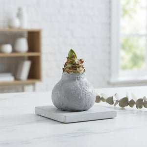 Grey Wax Hipp Gl Titaan Decoration – 20cm