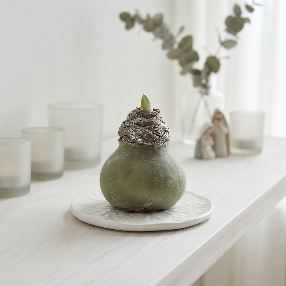 Olive Green Waxed Hyacinth Bulb Decoration – 20cm
