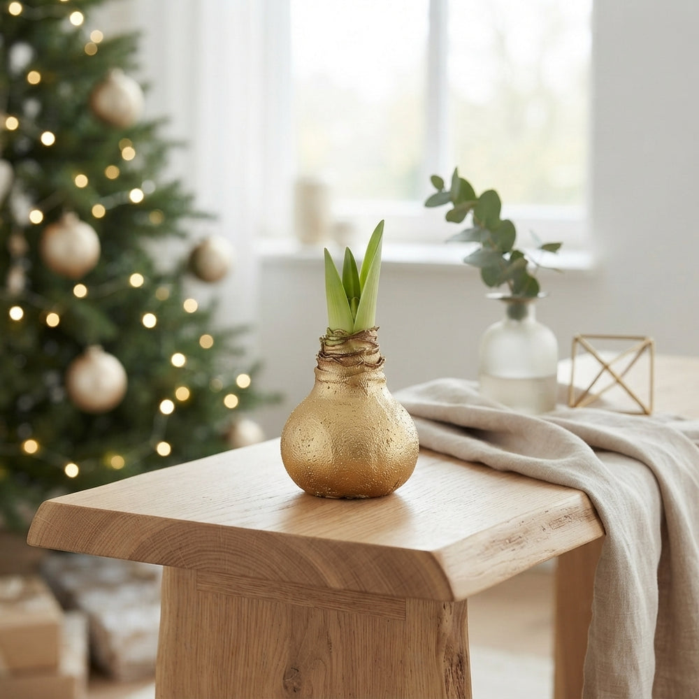 Gold Waxed Hyacinth Bulb Decoration – 20cm