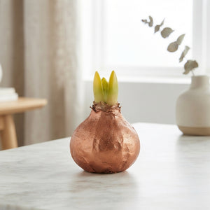 Copper Wax Hippeastrum Decoration – 20cm