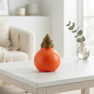 Orange Wax Flower Decoration – 20cm