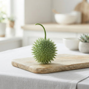 Decorative Green Cucumis Ornamental Fruit