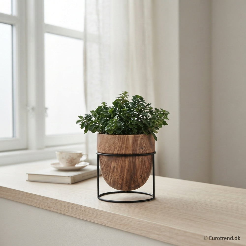 Mixed Ceramic Plant Arrangement – 6cm Pot