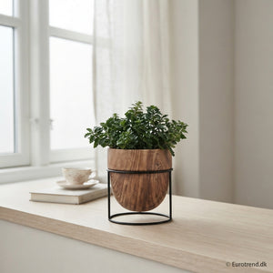 Mixed Ceramic Plant Arrangement – 6cm Pot