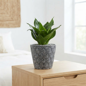 Ceramic Plant Pot – 11cm