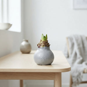 Grey Wax Hipp Gl Titaan Christmas Decoration