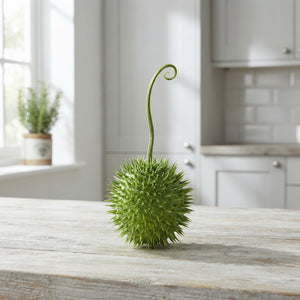 Decorative Green Cucumis Ornamental Fruit