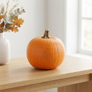 Maxima Halloween Ornamental Pumpkin – Orange