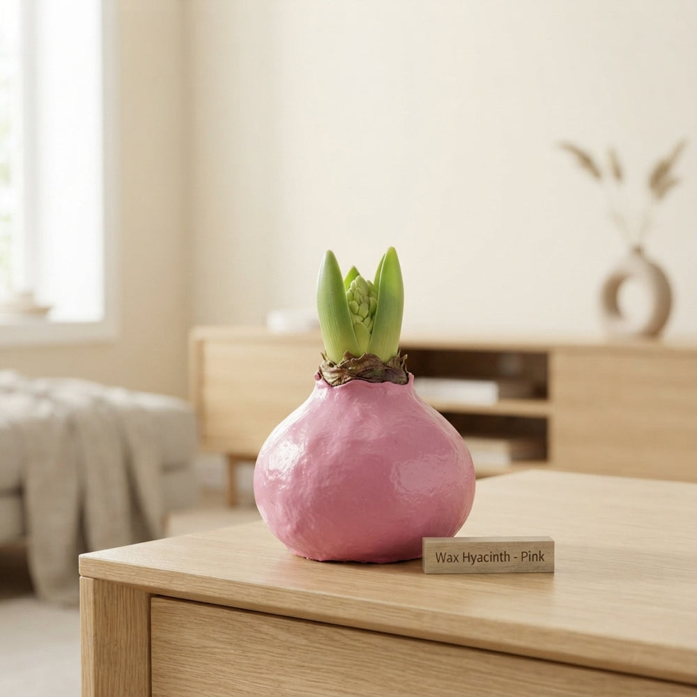 Pink Wax Hipp Topiary Decoration – 20cm