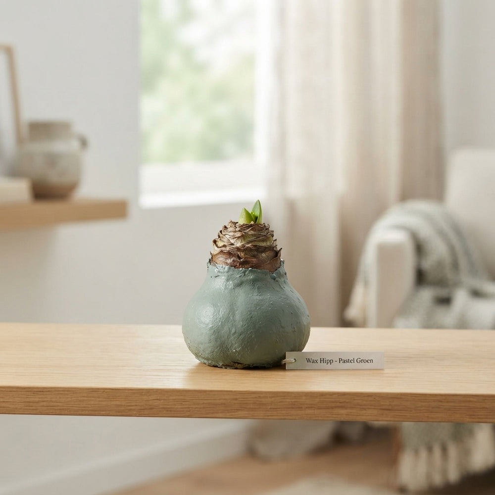 Green Wax Hipp Topiary Decoration – 20cm
