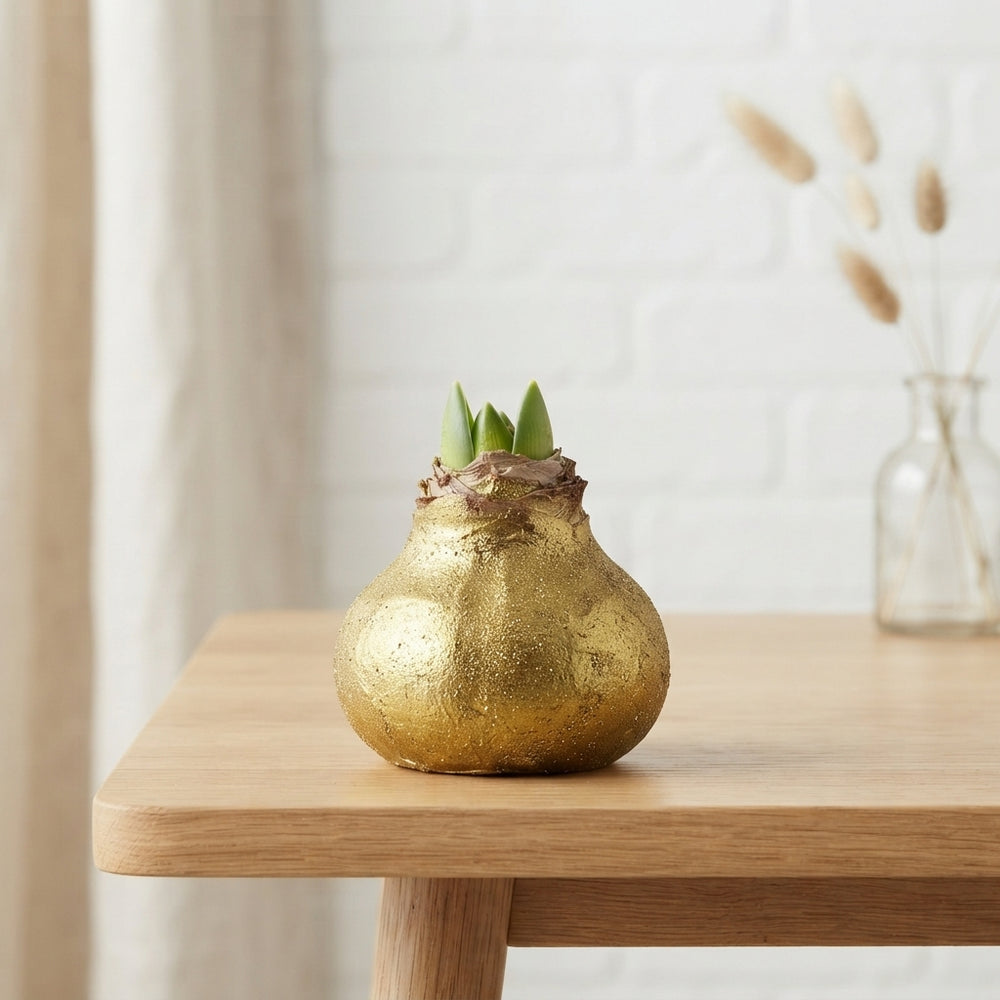 Gold Wax Hipp Topiary Decoration – 20cm