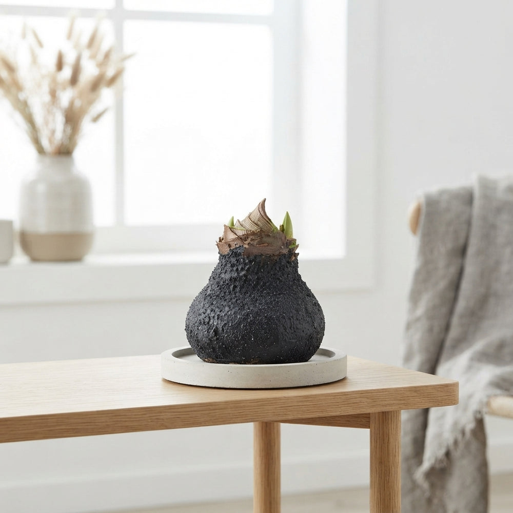 Grey Wax Hipp Topiary Decoration – 20cm