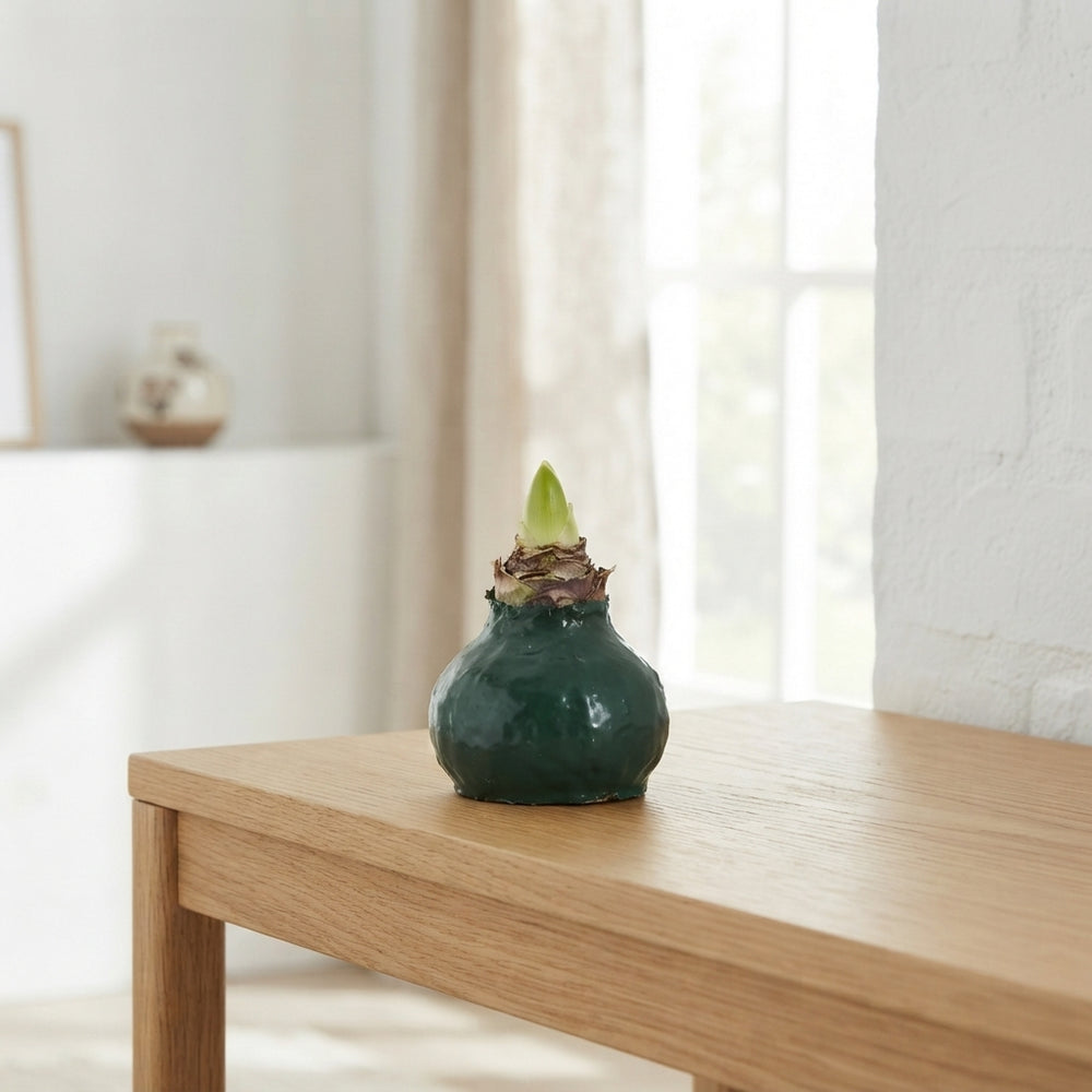 Dark Green Waxed Pine Decoration – 20cm