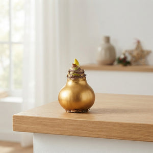 Gold Waxed Hippeastrum Decoration – 20cm