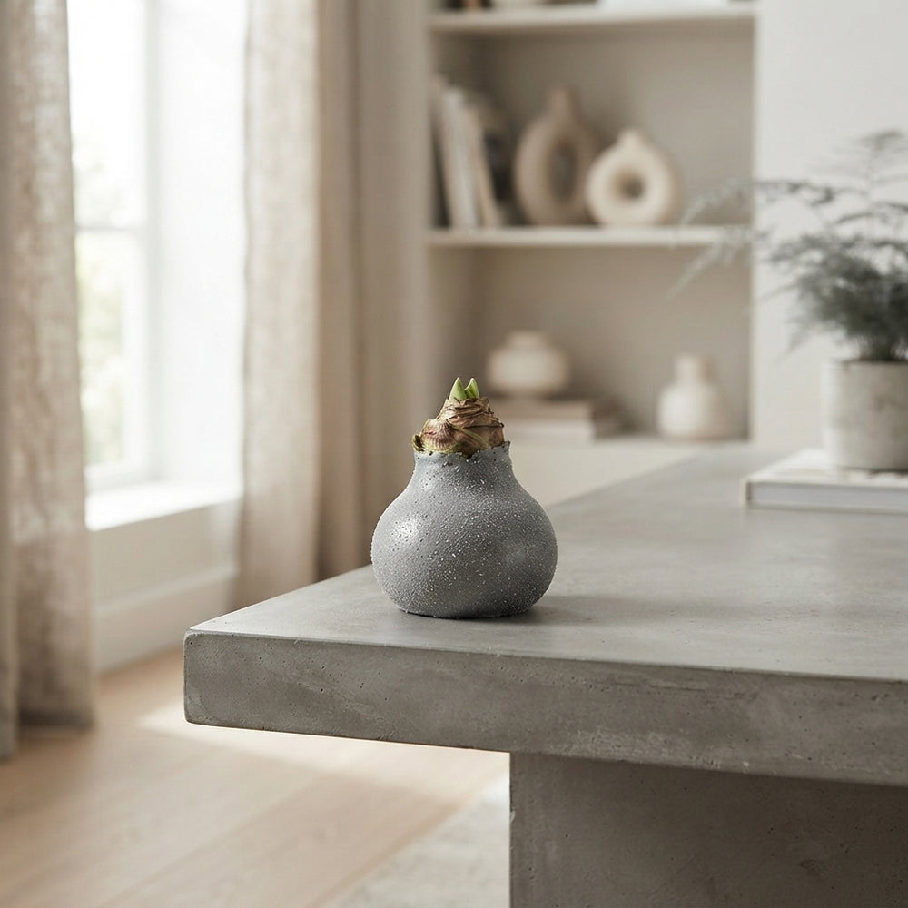 Grey Wax Hyacinth Glass Decoration – 20cm
