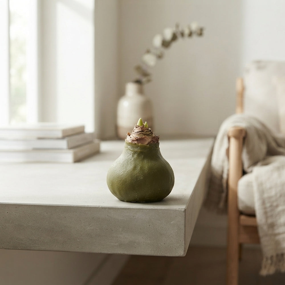 Olive Green Waxed Christmas Decoration