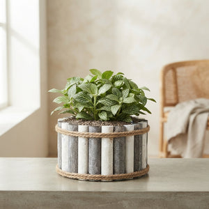 Mixed Colour Round Wooden Arrangement