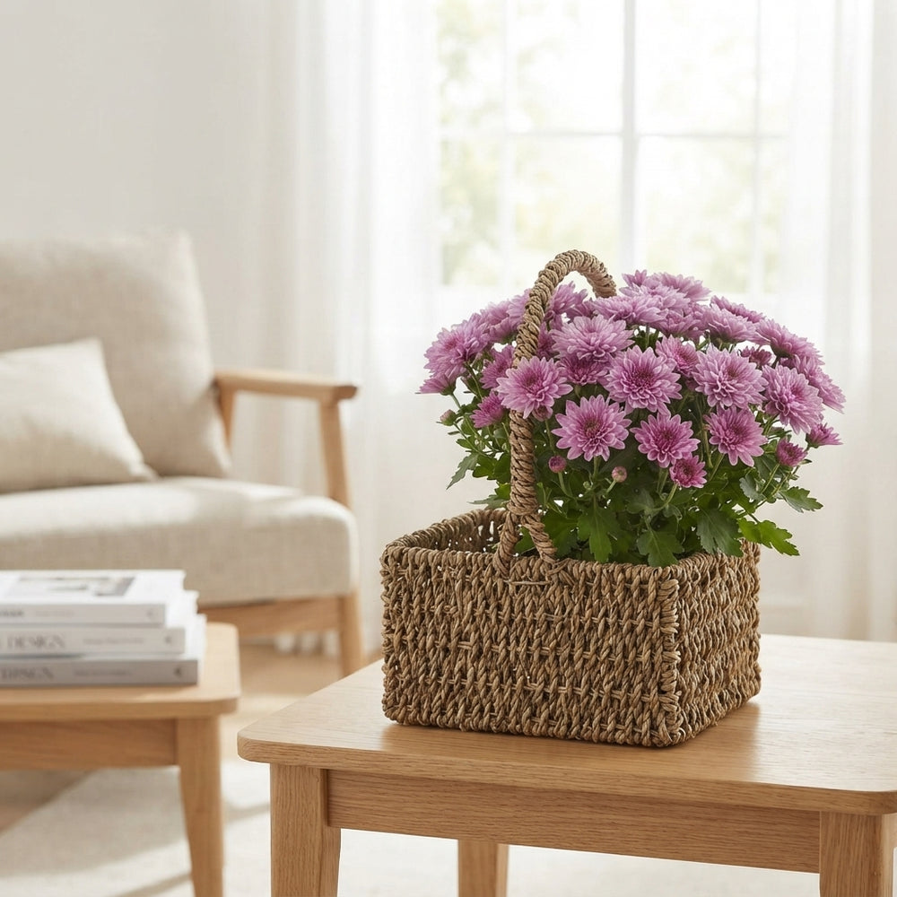 Mixed Colour Seagrass Hanging Basket Arrangement