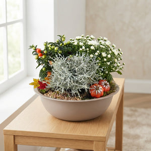Mixed Colour Plant Arrangement in Extra-Large Taupe Zinc Bowl