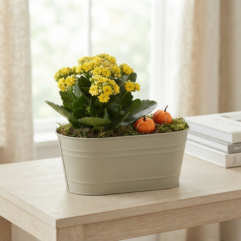 Mixed Colour Oval Zinc Arrangement