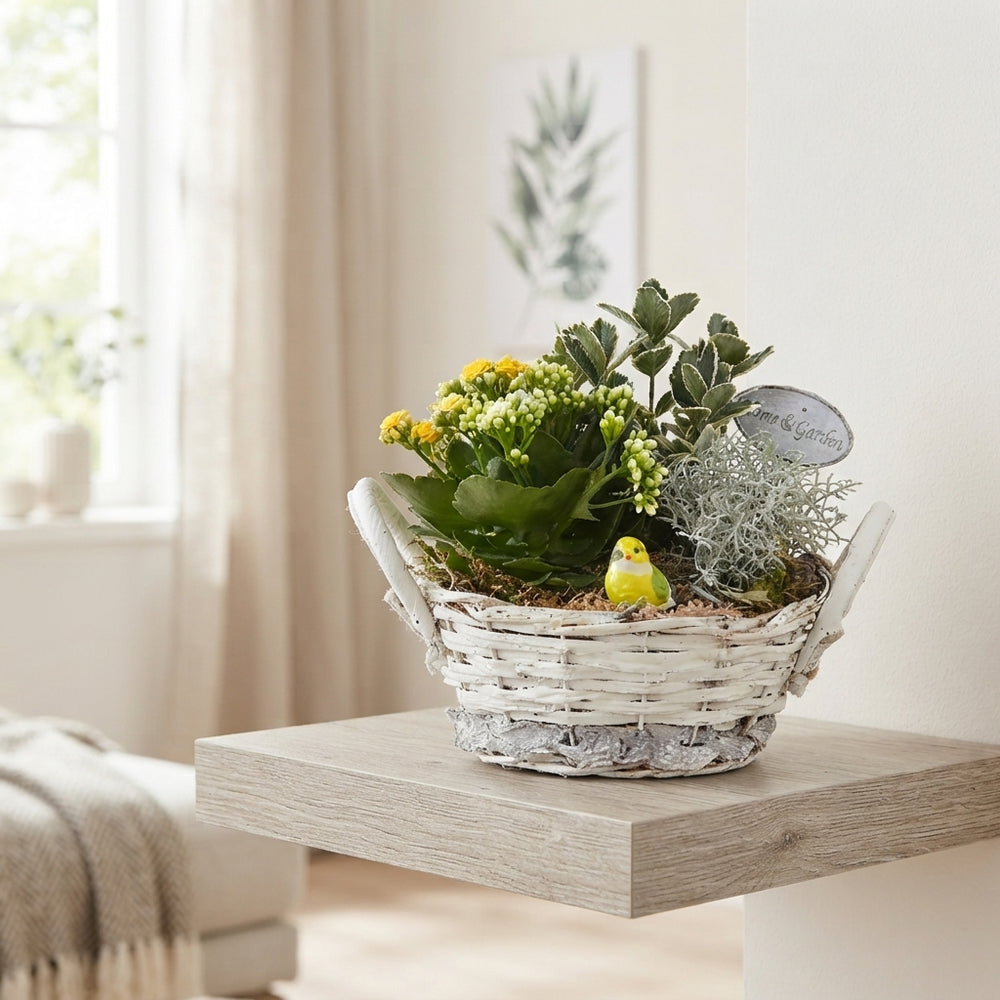 Mixed Colour Floral Arrangement