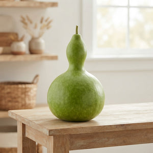 Decorative Ornamental Gourds – Mixed Colours