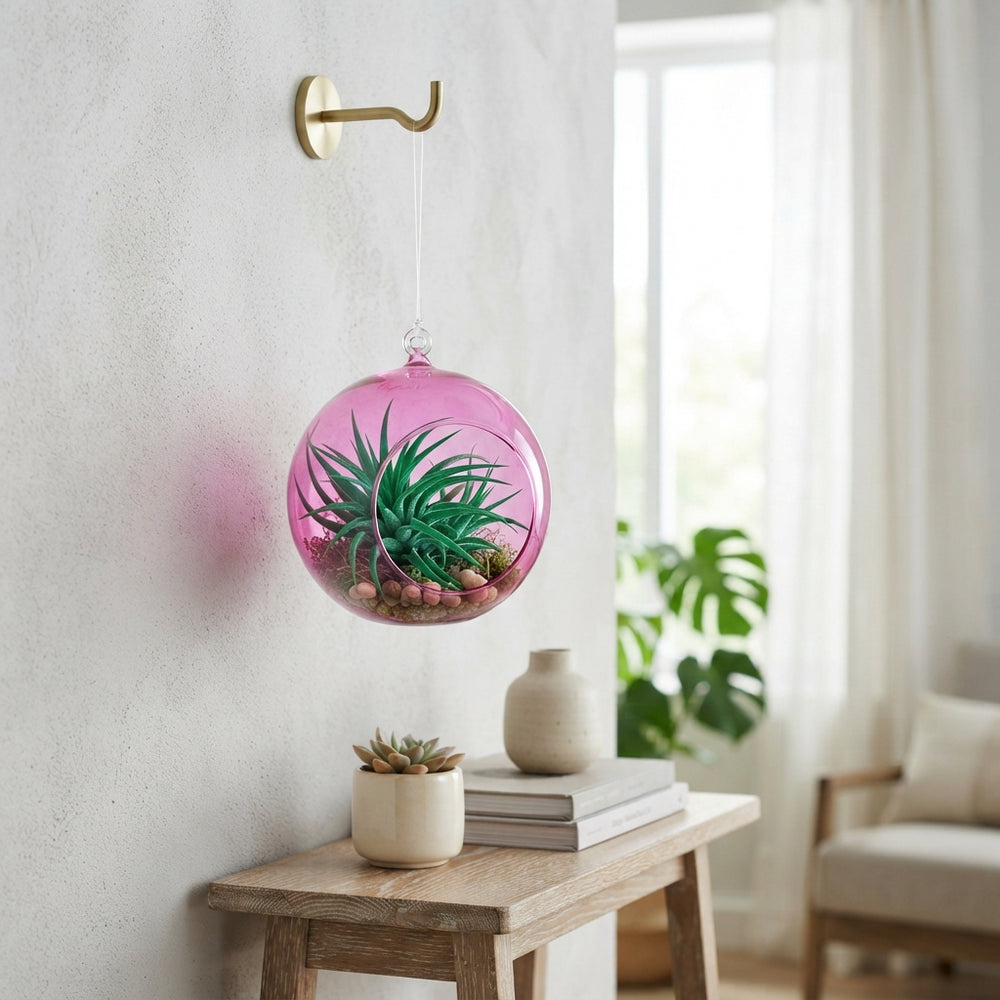 Mixed Air Plant Arrangement in Glass Ball – 10cm