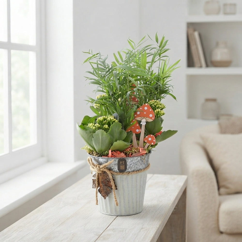 Mixed Plant Arrangement in Zinc Pot – 14cm
