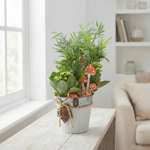 Mixed Plant Arrangement in Zinc Pot – 14cm