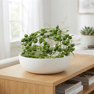 Ornamental Diplocyclos Fruit Stem – Green