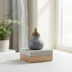 Grey Wax Hyacinth Glass Decoration – 20cm