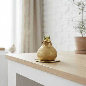 Gold Waxed Hippeastrum Decorative Stem