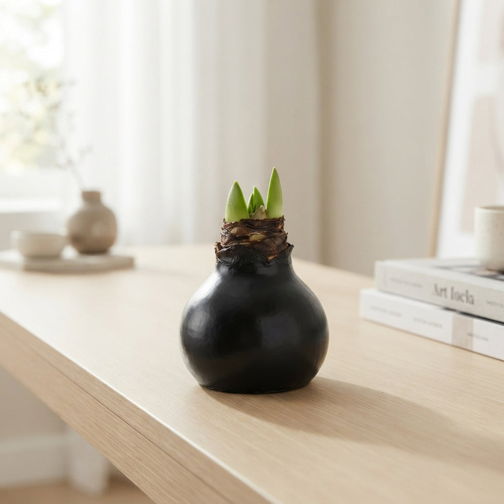 Black Wax Hippopotamus Christmas Decoration