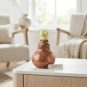 Copper Wax Hipp Christmas Decoration – 20cm