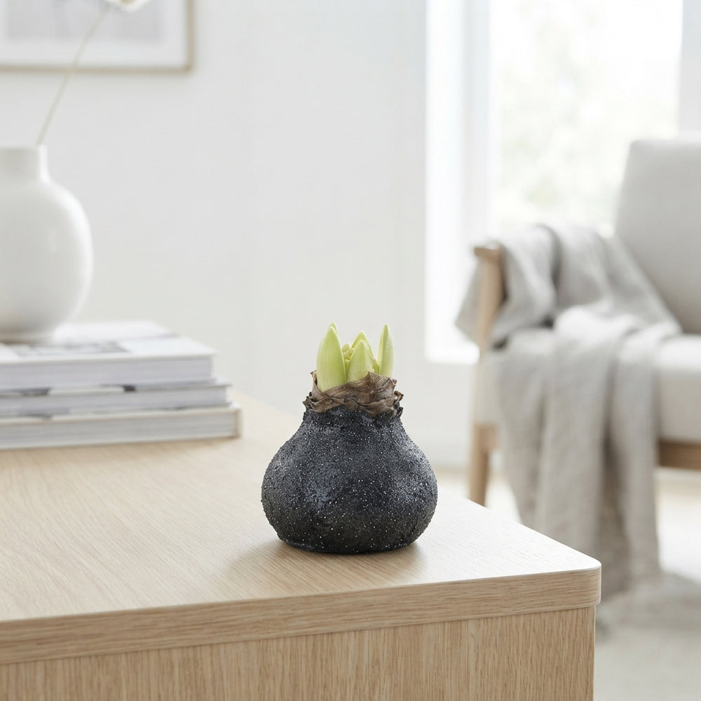 Grey Wax Hipp Topiary Decoration – 20cm