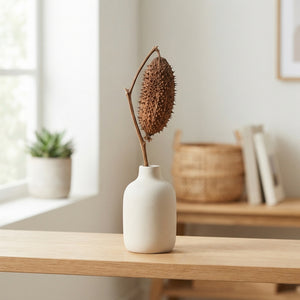 Decorative Brown Cucumis Ornamental Fruit