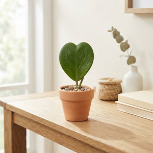 Natural Light Brown Wax Apple Decoration