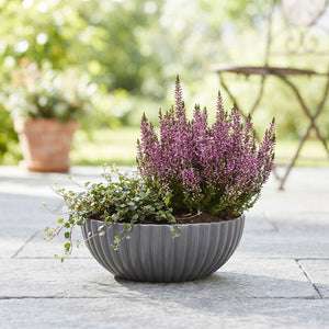 Outdoor Arrangement in XL Ribbed Bowl – 30cm