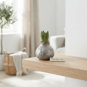Grey Wax Hipp Titaan Decorative Ornament – 20cm