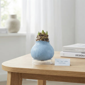 Pale Blue Wax Christmas Decoration – 20cm