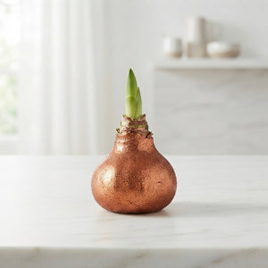 Copper Waxed Decorative Stems – 20cm