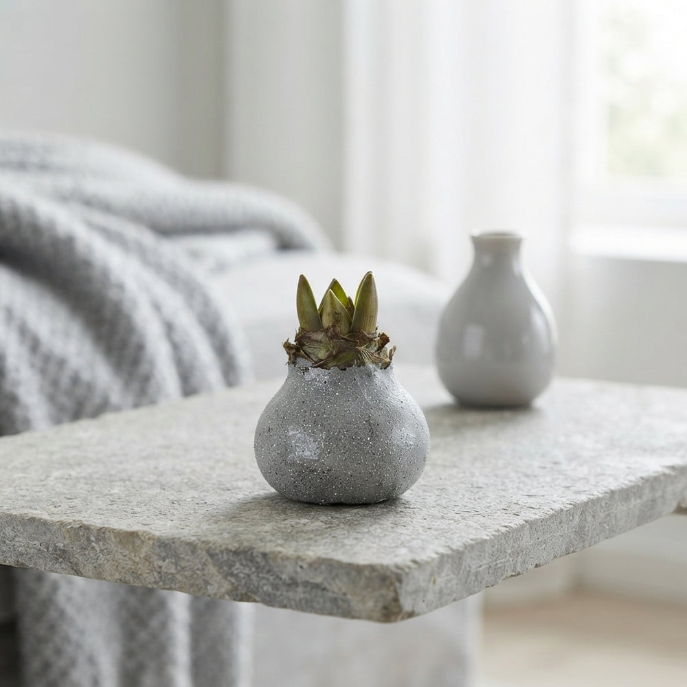 Grey Wax Hyacinth Glass Decoration – 20cm