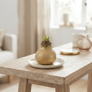 Gold Wax Hyacinth Christmas Decoration