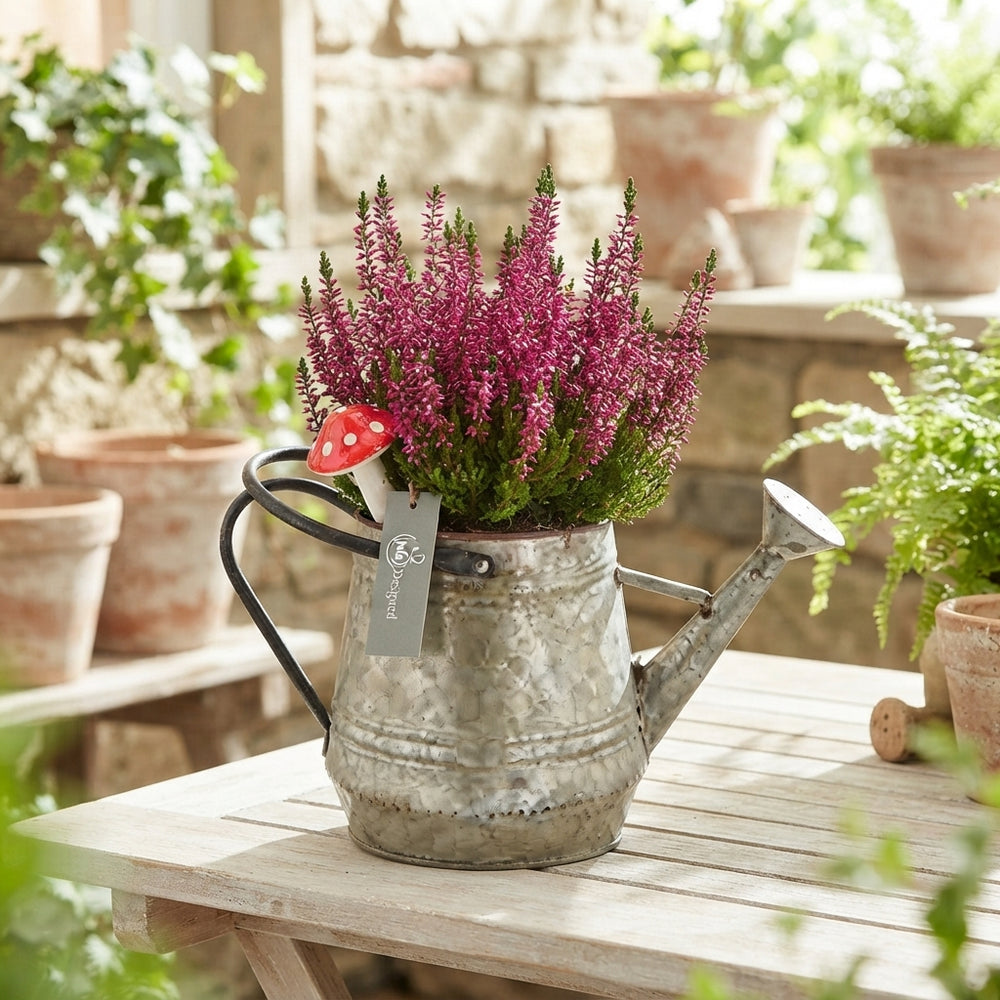 Outdoor Arrangement in Vintage Zinc Watering Can – 28cm