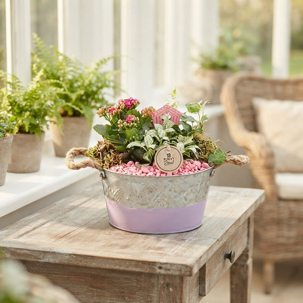 Butterfly Bowl Plant Arrangement – 22cm