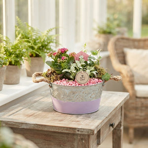 Butterfly Bowl Plant Arrangement – 22cm